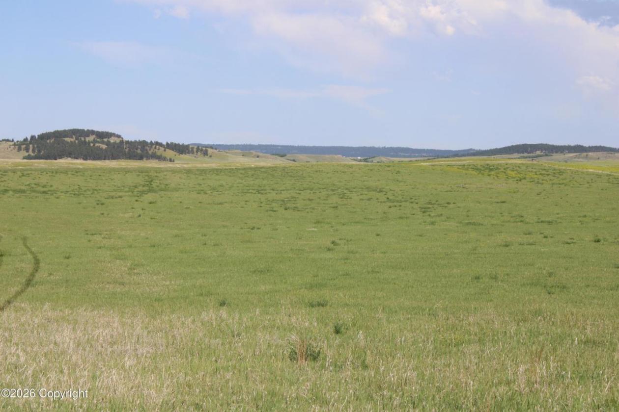 Tract 14 Belle River Ranch- NO Covenants -35+ Acre - photo 6
