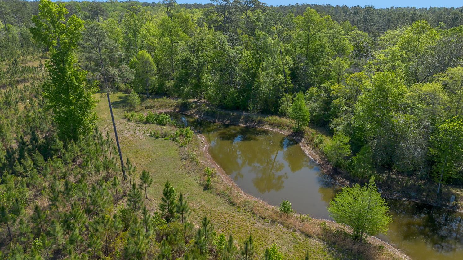 Horse property with gorgeous views - photo 9