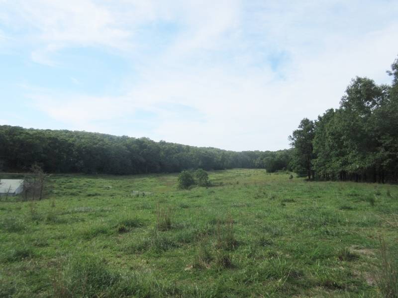 Horse property with Mark Twain National Forest on Two Borders Squires