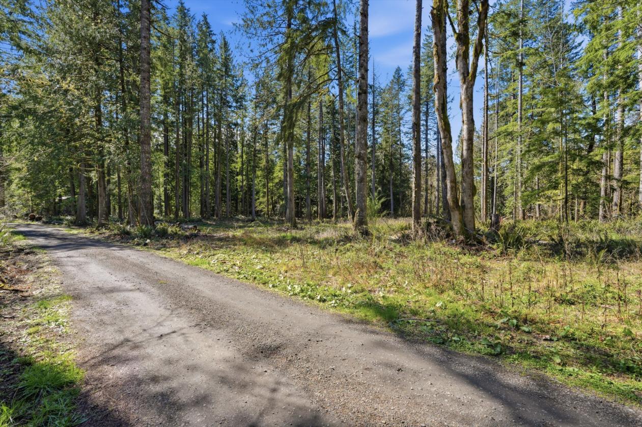 5 Acres on the Sandy River w/useable acreage! - photo 25