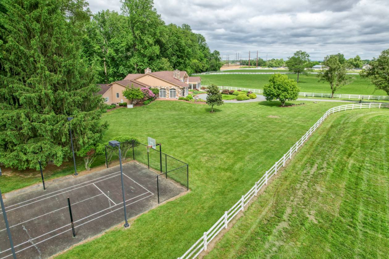 CandyLand Farm: Where Dreams Gallop Free! - photo 28