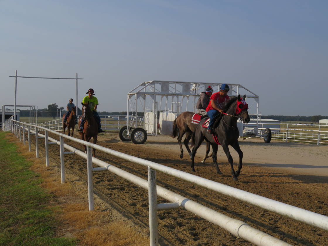 DIAMOND D RANCH Lone Oak, Hunt County, Texas Horse Properties