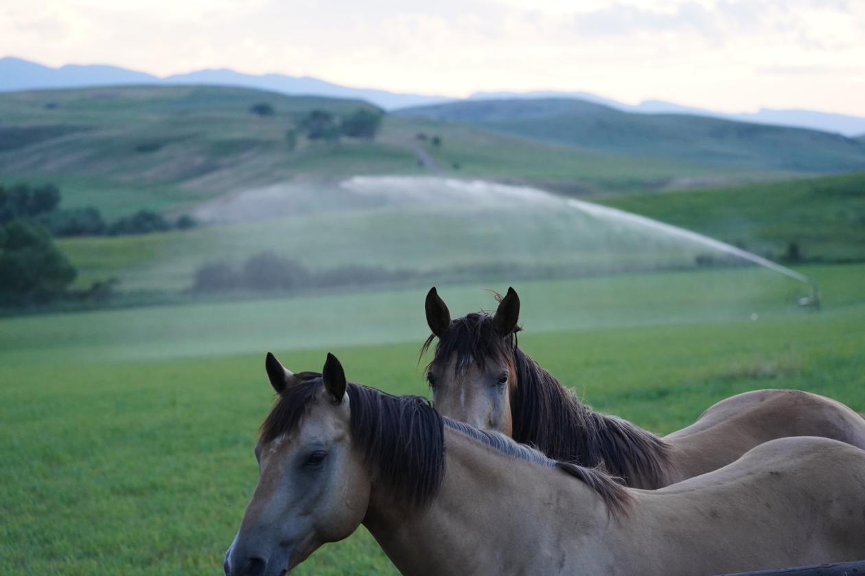 Rocknhat Horse Ranchette - photo 8