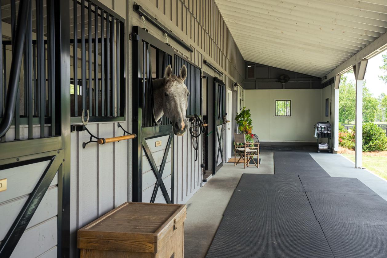 Kalista Manor South ~ Turn-Key Equestrian Estate - photo 20