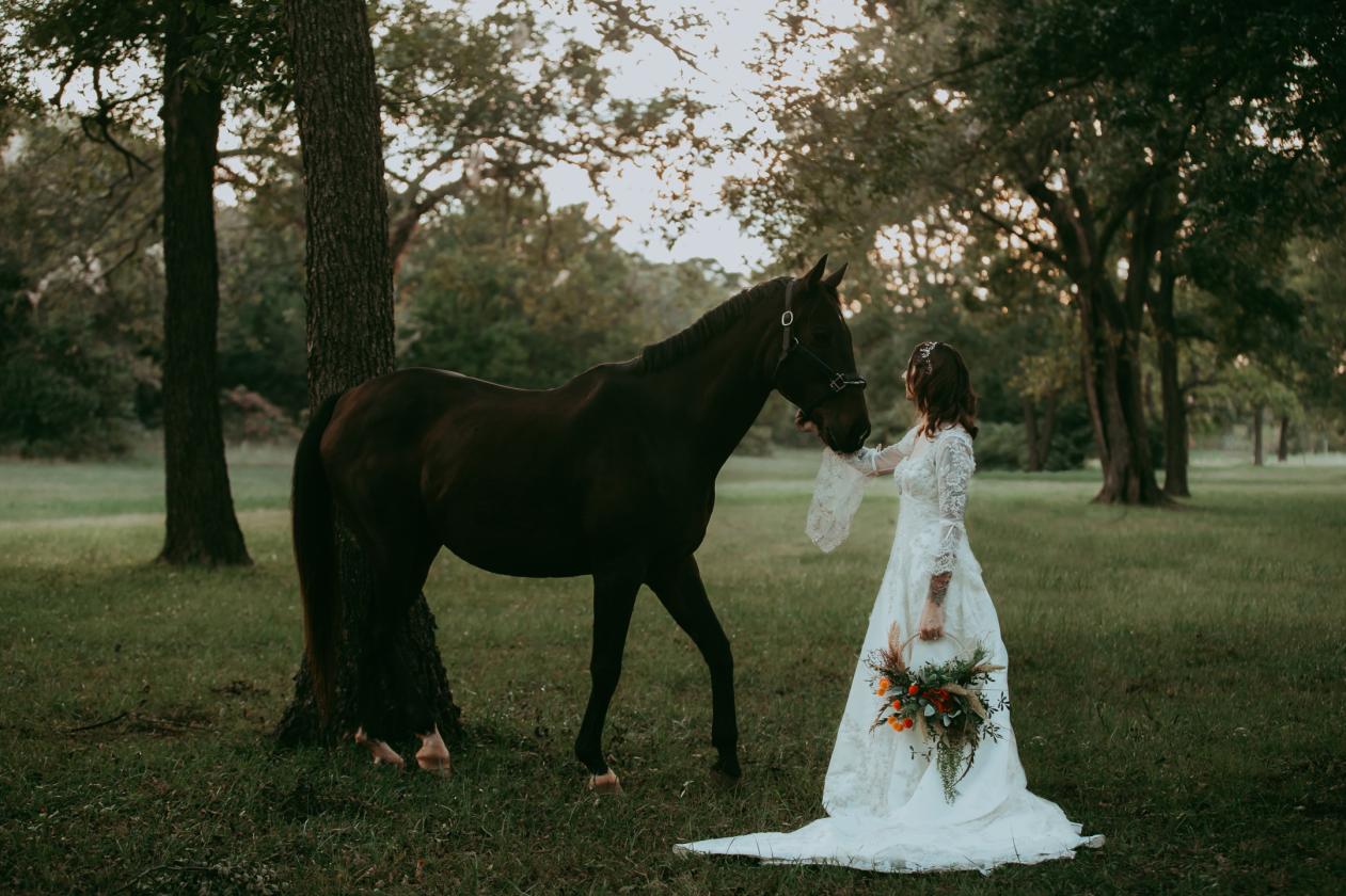 REINING - EVENTING OR WEDDING VENUE - photo 25