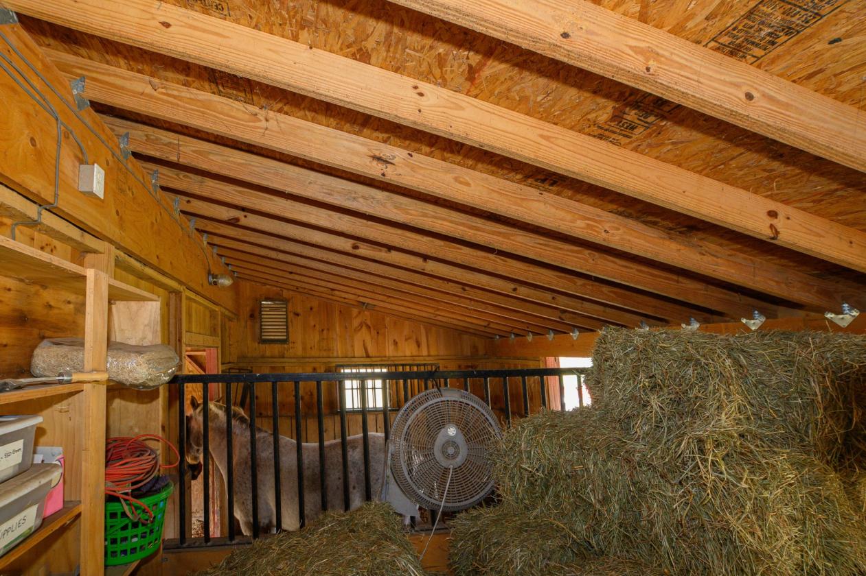 Beautiful Horse Property on 16.13 Acres - photo 23