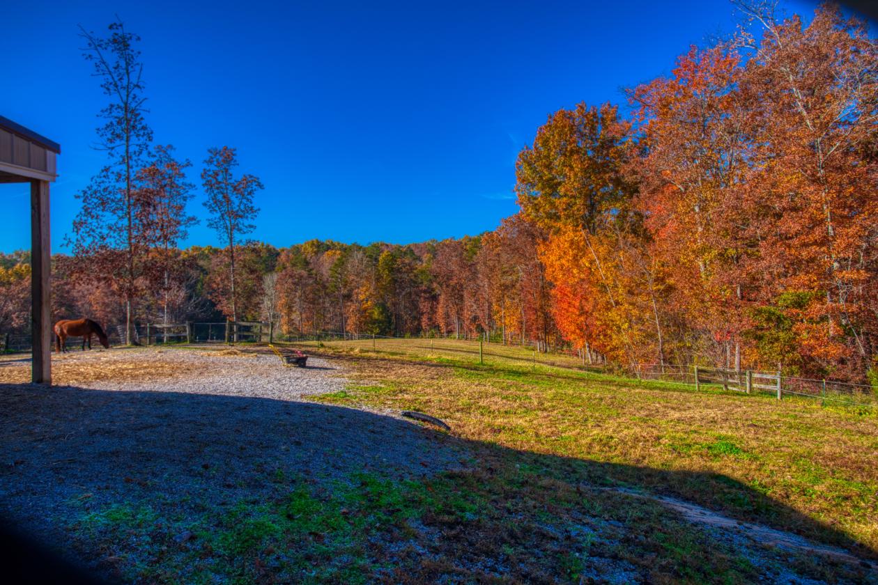Turn Key Home with 7 Acres in Ridgetop - photo 6