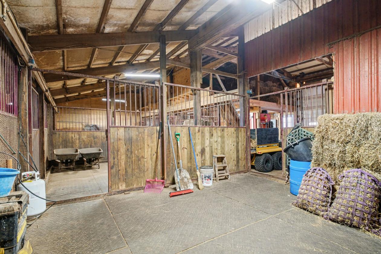 Whitetail Acres - photo 29