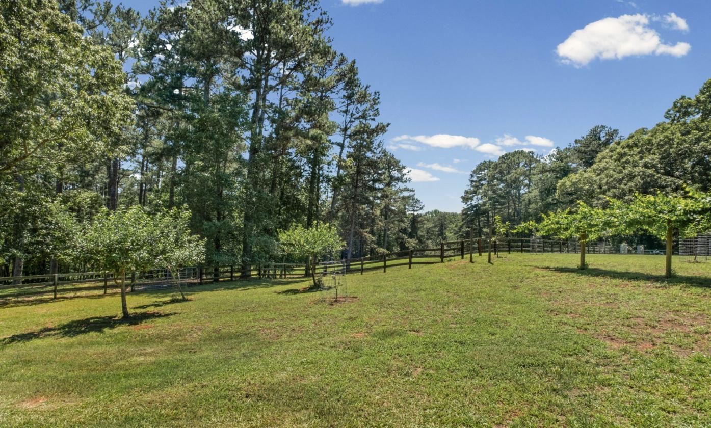 Country Estate, Minutes from Downtown - photo 18