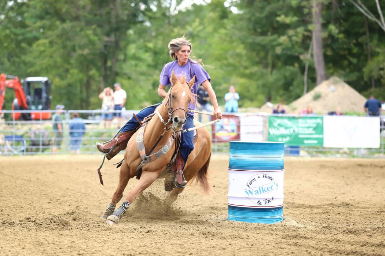 Upstate NY Equine Training & Breeding Facility - photo 19