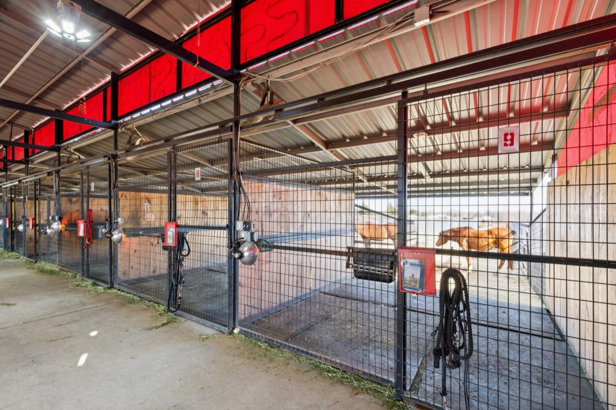 Premier Equestrian Facilities - photo 16