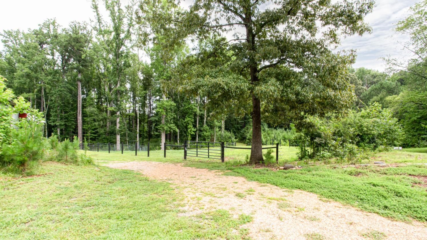 Turnkey Equestrian Property on 11+ Acres - photo 23
