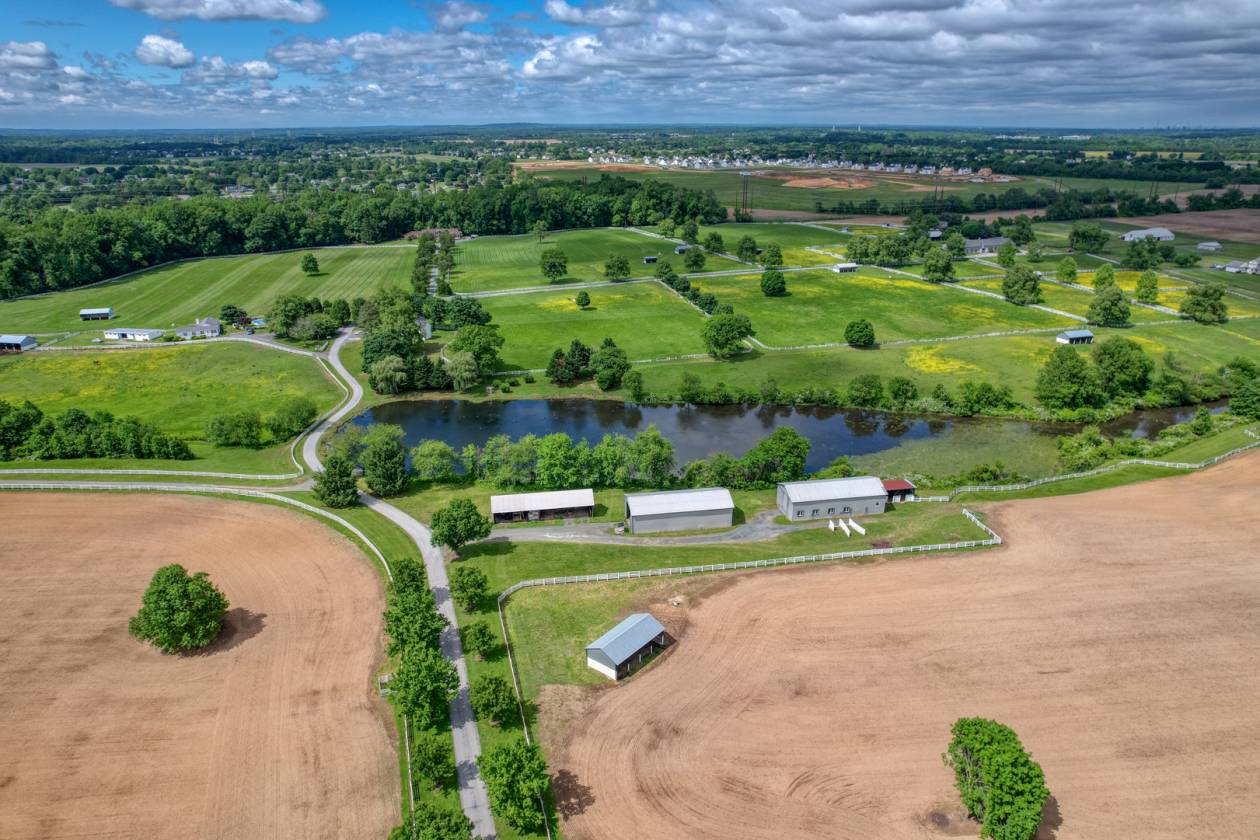 CandyLand Farm: Where Dreams Gallop Free! - photo 11