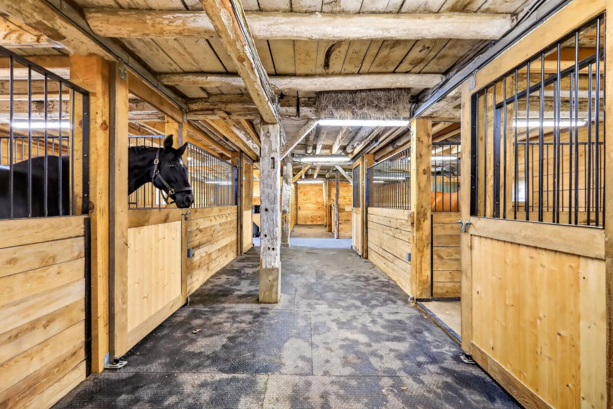 85 Acre Equestrian Estate - photo 26