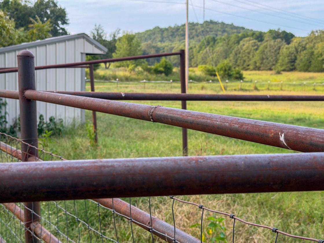 139 Acre Farm - Horse & Livestock Ready - photo 6
