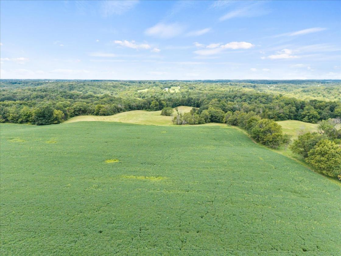 Over 173 acres for your equestrian dreams - photo 18
