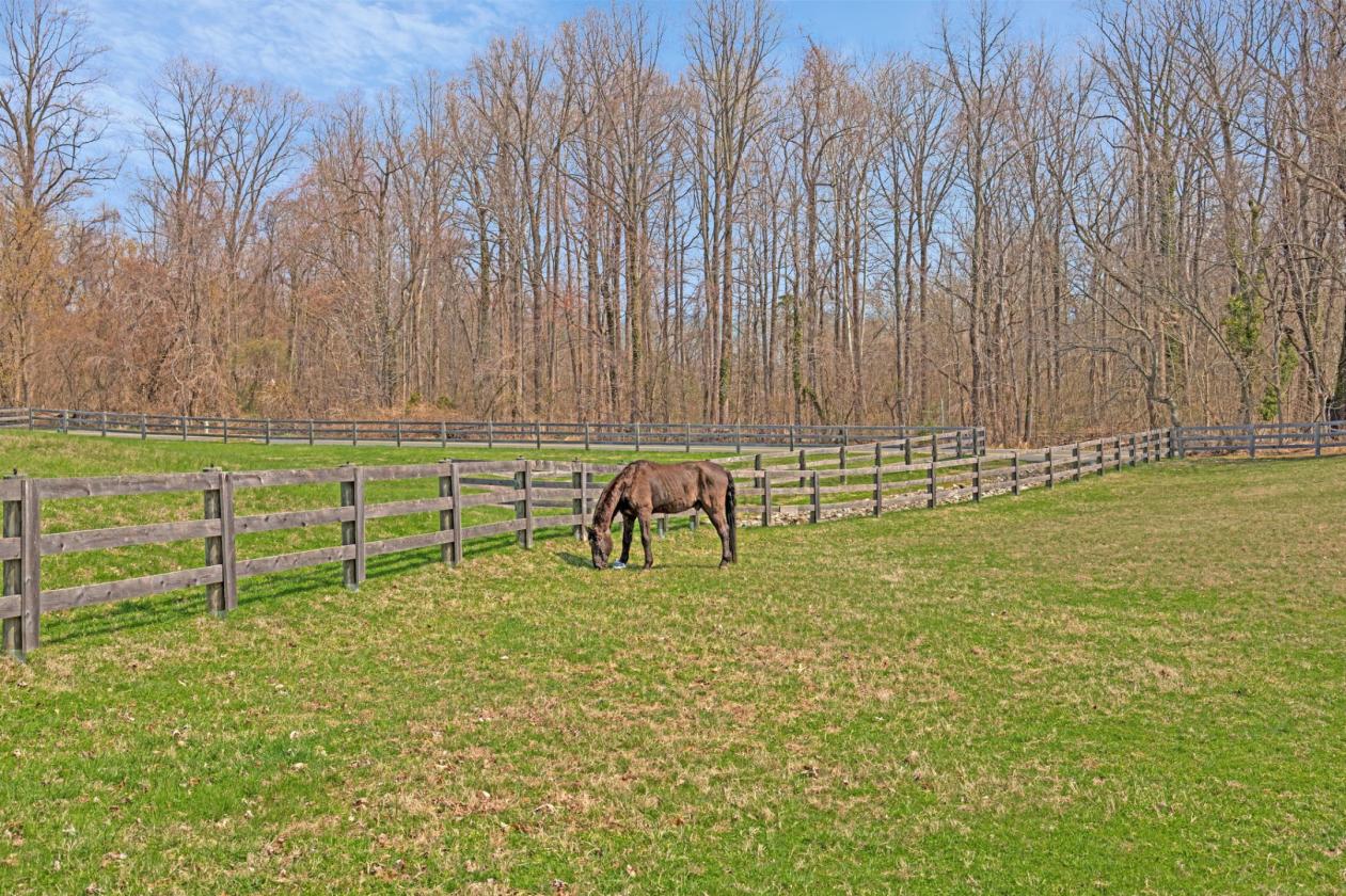 Custom-Crafted Equestrian Estate on 13 Acres - photo 24