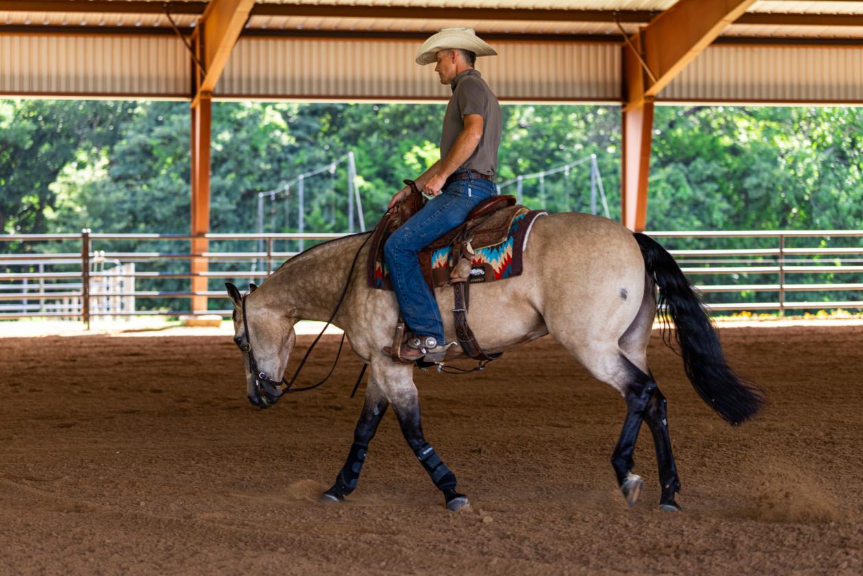 Walnut Creek Horse Ranch - photo 21