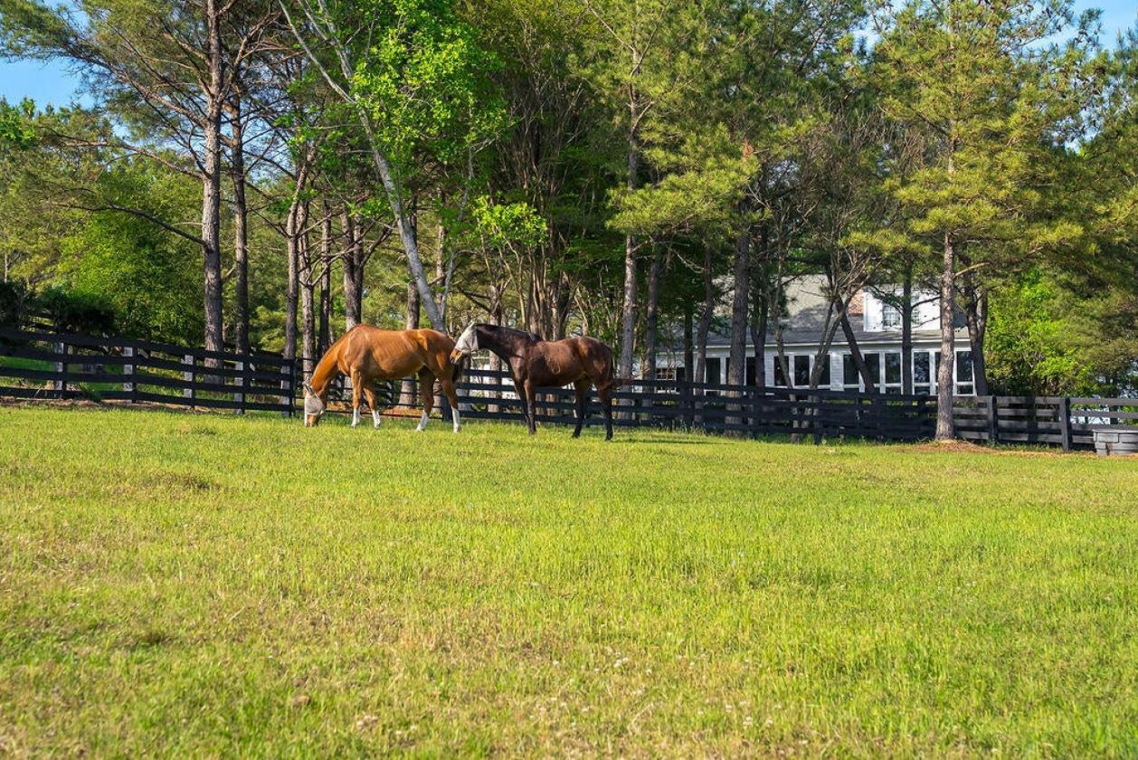 Exceptional Equestrian Living in Mt Vintage - photo 14