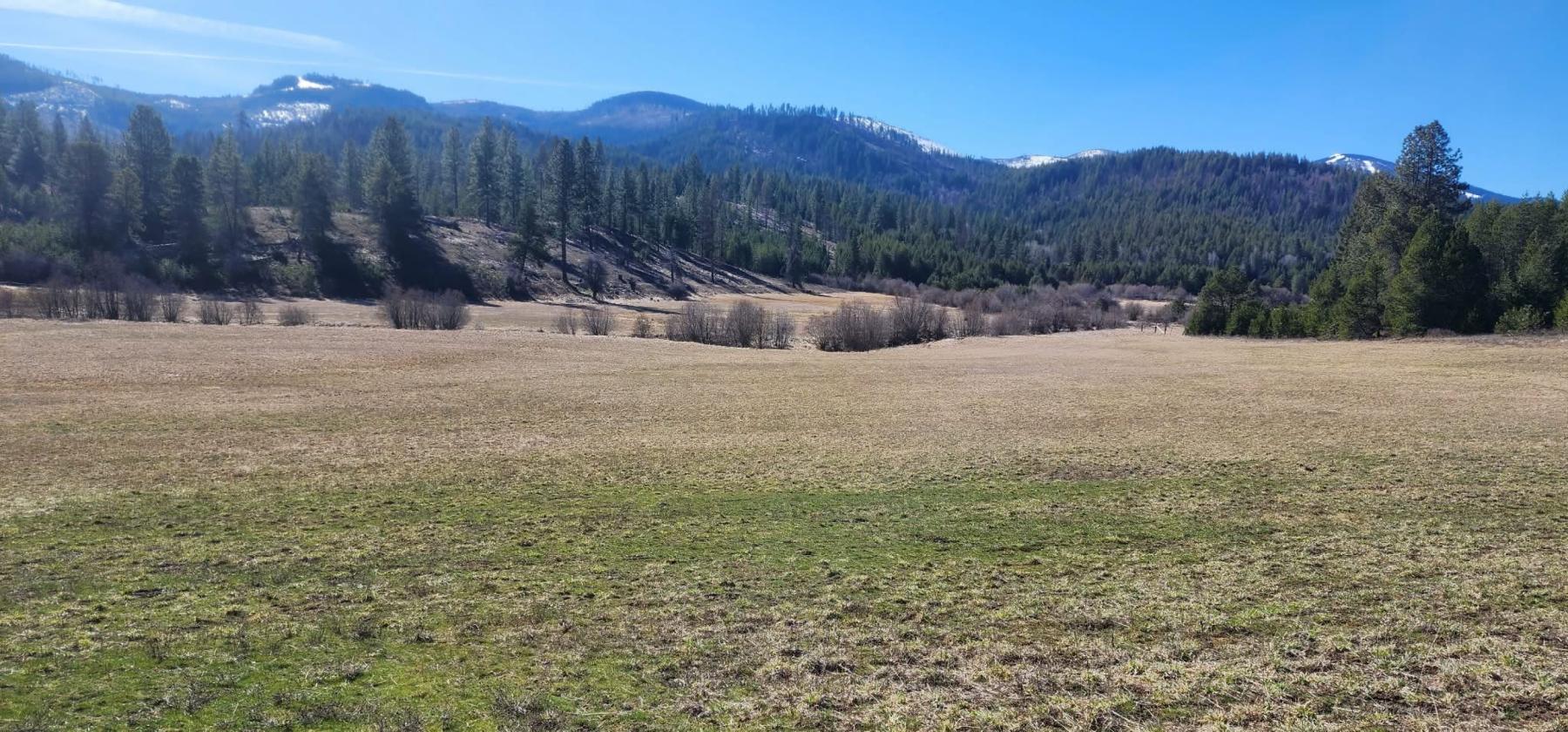 Blanchard Creek Valley - photo 12