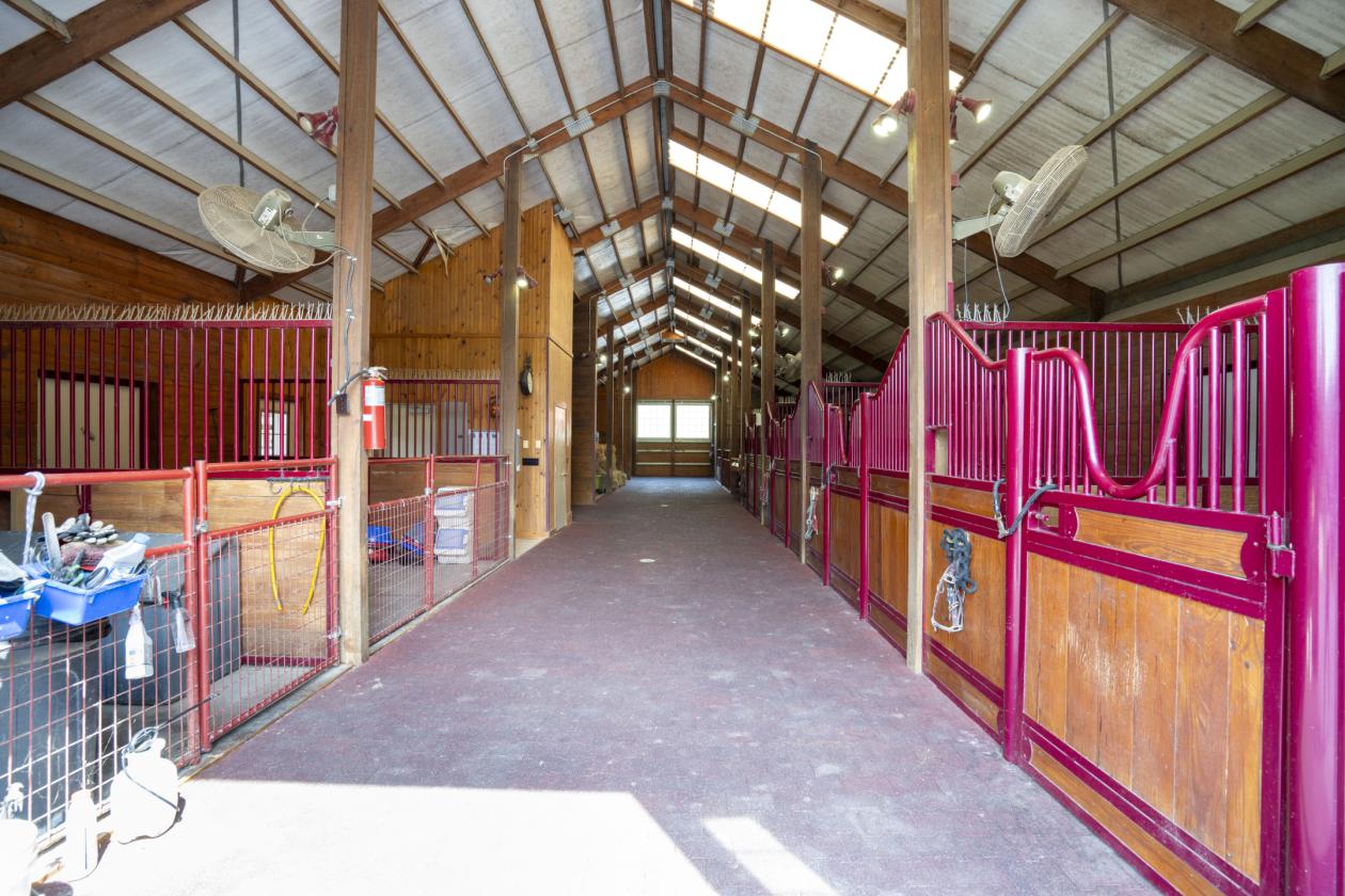 Exceptional Equestrian Estate on 134+ Acres - photo 5