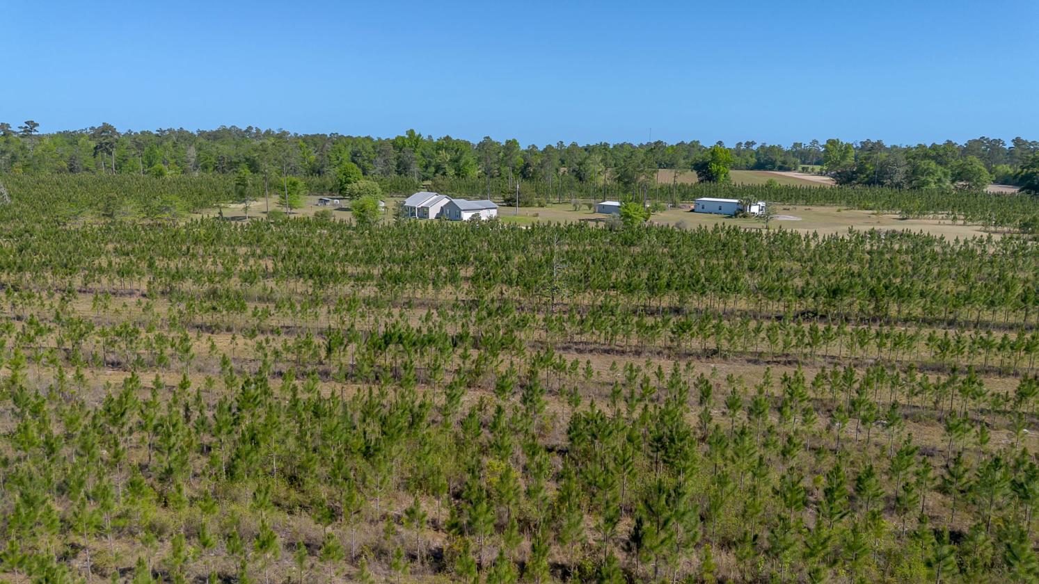Horse property with gorgeous views - photo 10