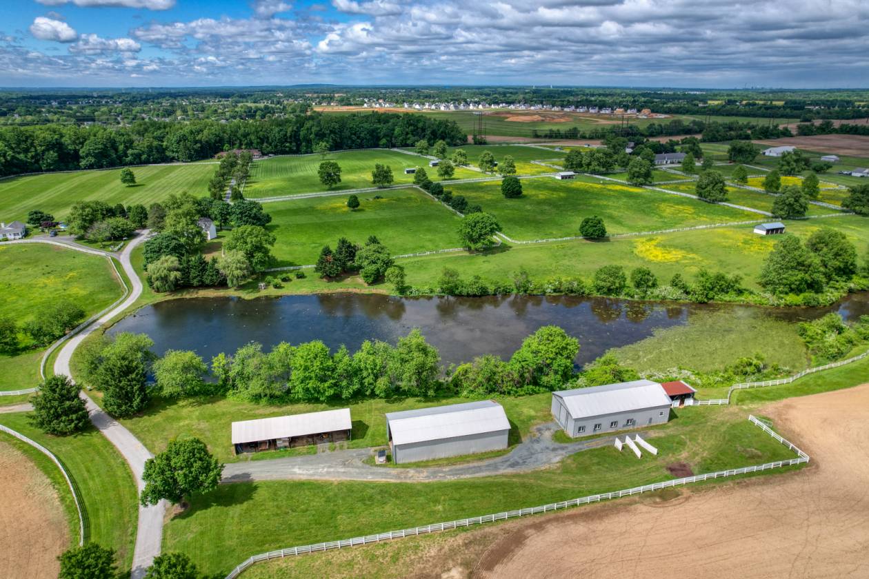 CandyLand Farm: Where Dreams Gallop Free! - photo 12