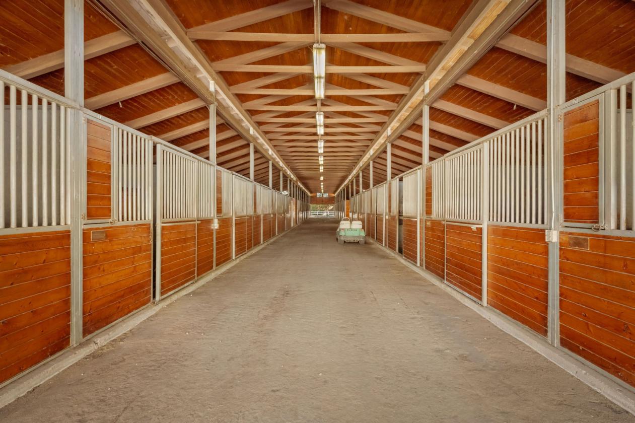 A Private Equestrian Sanctuary - photo 18