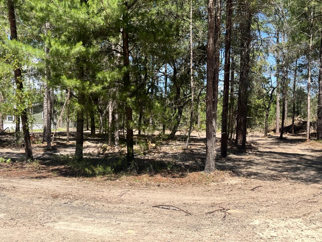 Peace and Quiet with room for your Horse - photo 19