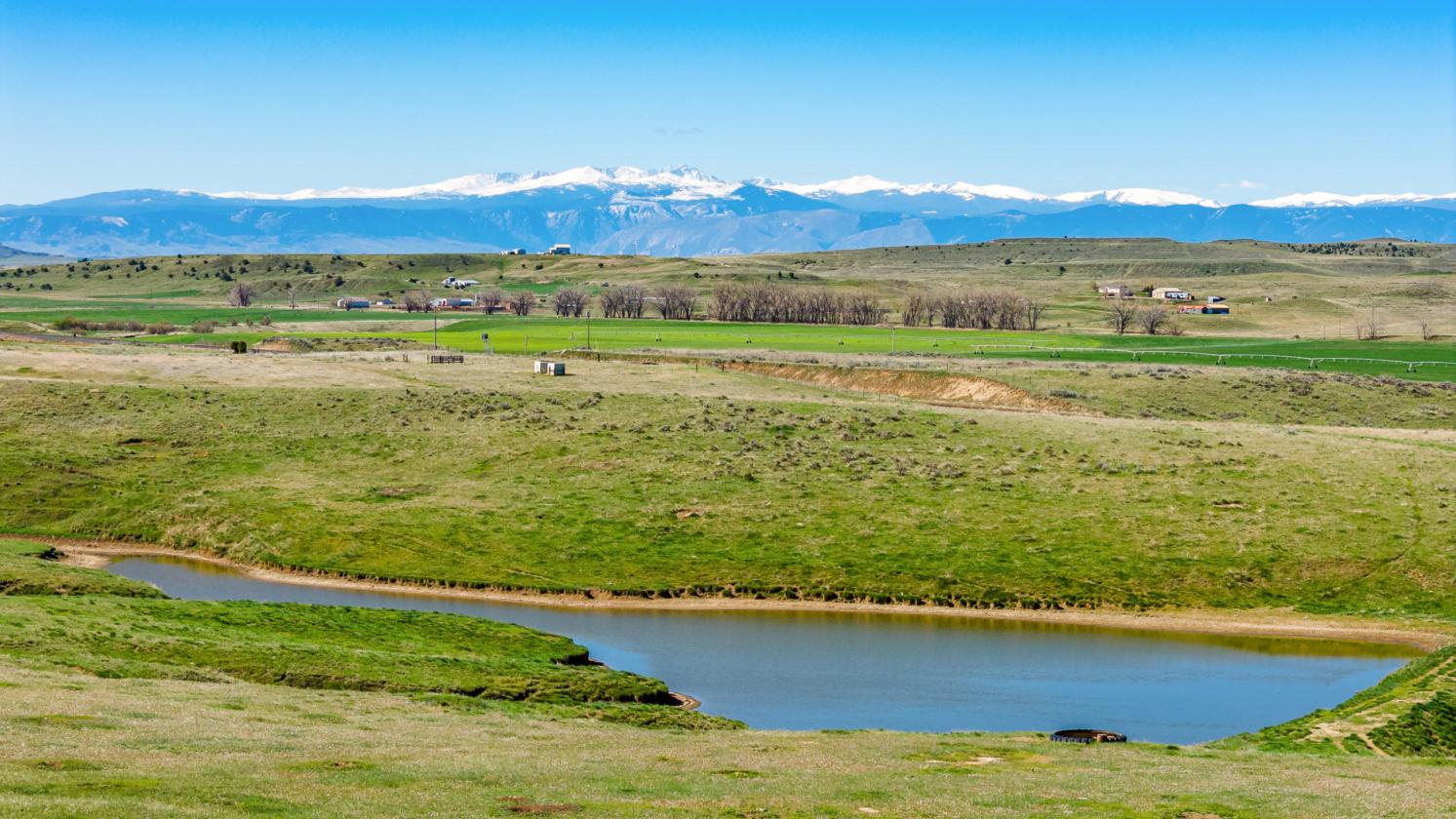 Premier Horse Property With Trophy Mule Deer - photo 26