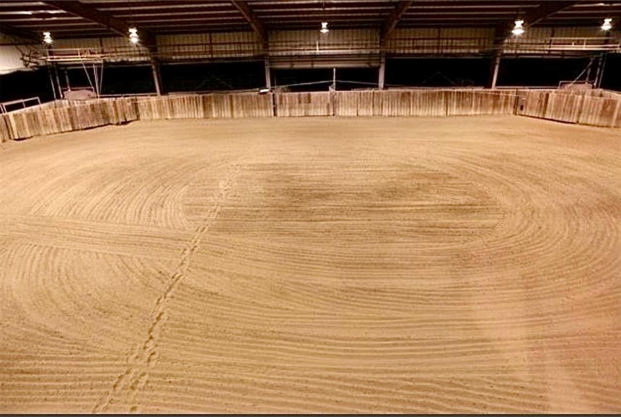 TM Horse Ranch - photo 5