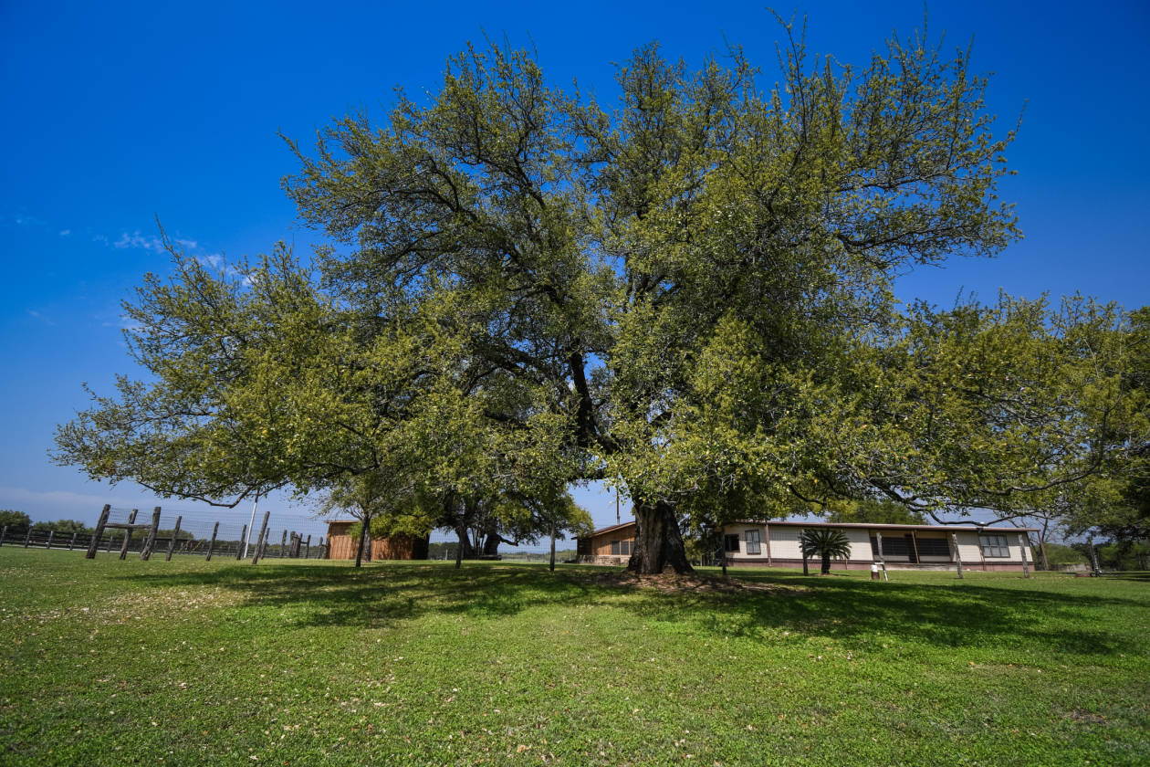 Remarkable Property Offering 18.95 Meticulously Manicured Acres
