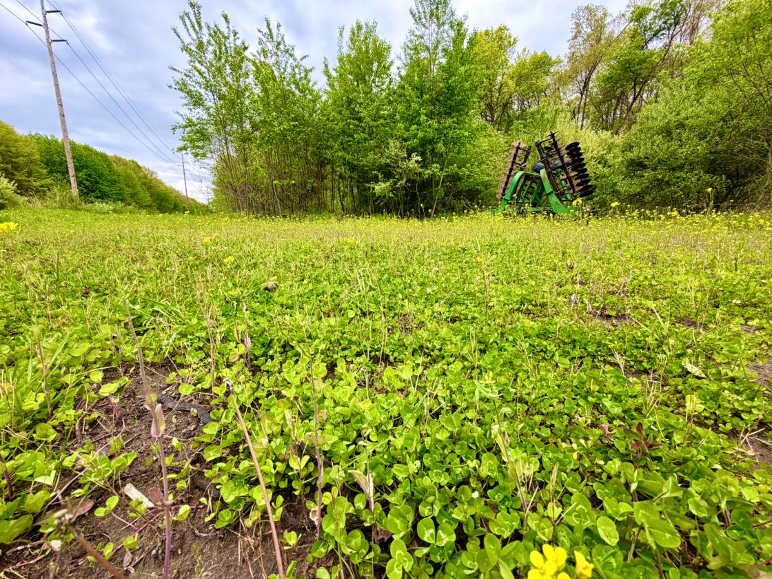 60Acres Equestrian Land with Scenic Trails - photo 21