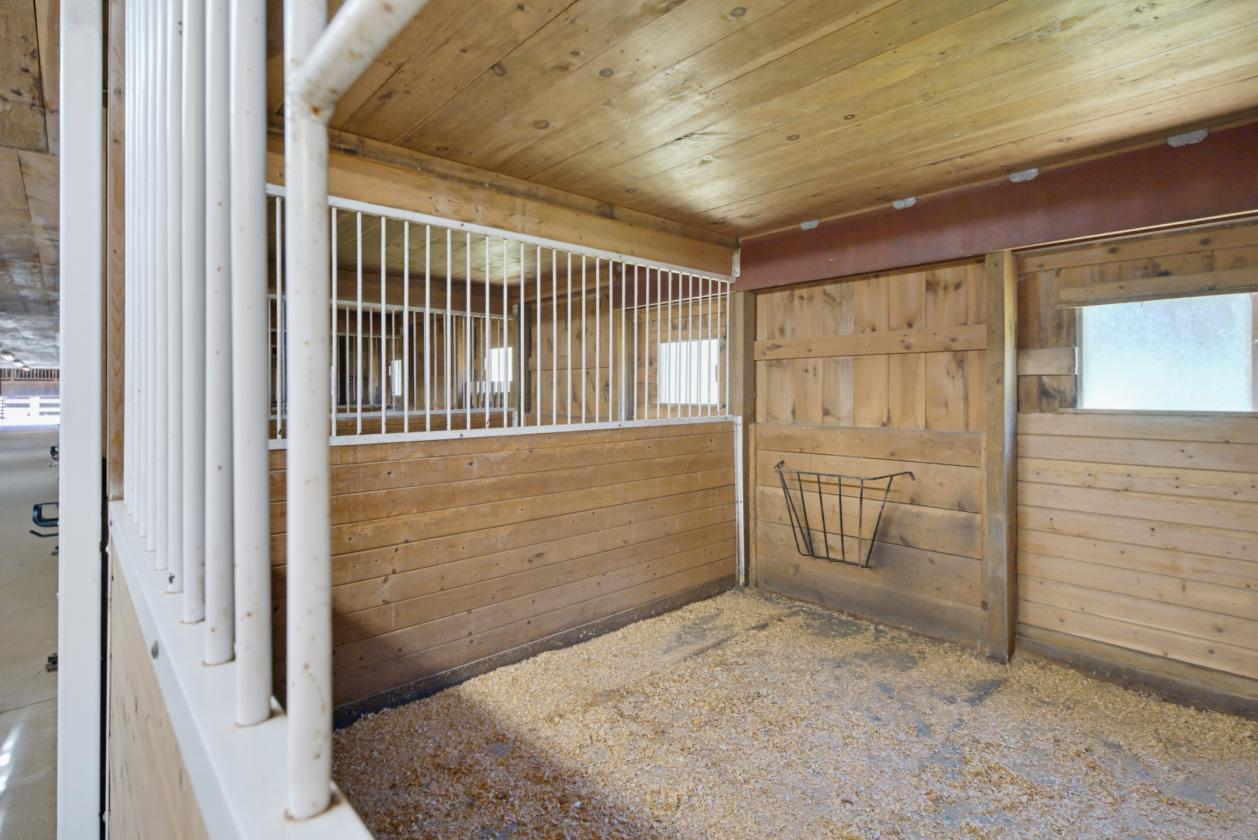 Equestrian Estate with endless possibilities - photo 7