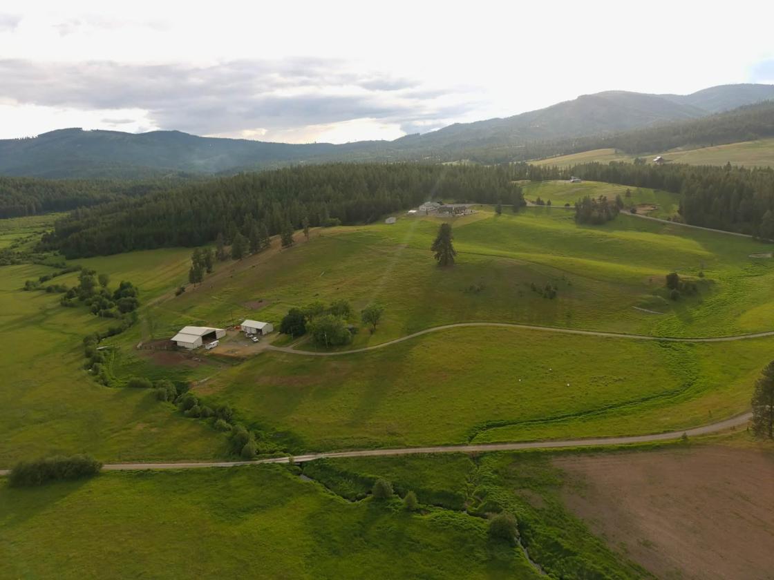 Blanchard Creek Valley - photo 18
