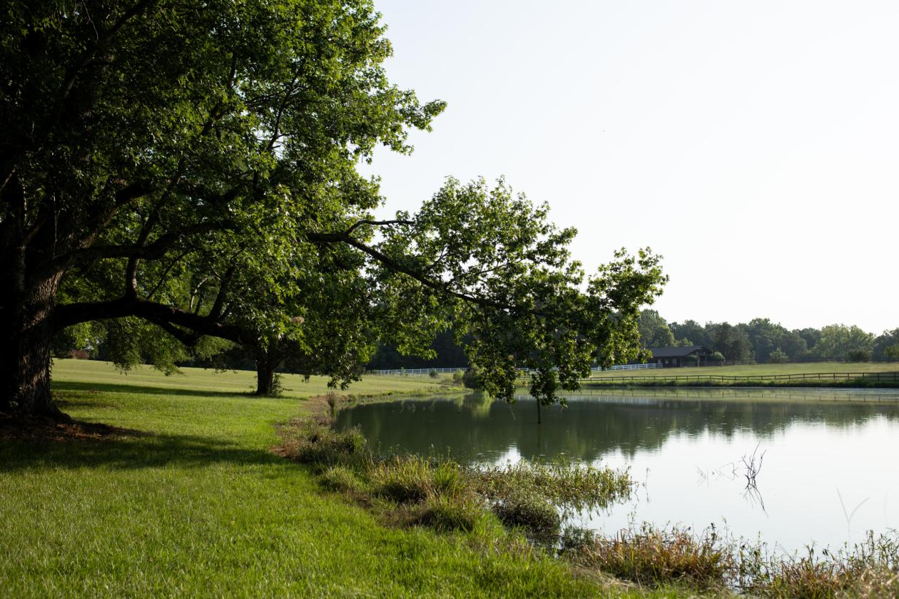 Horse Country Heaven - 10.38 Acres - photo 3