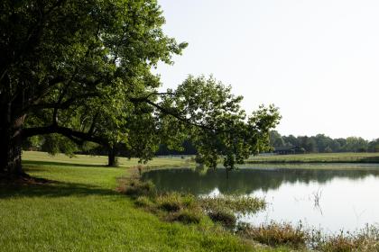Property image.