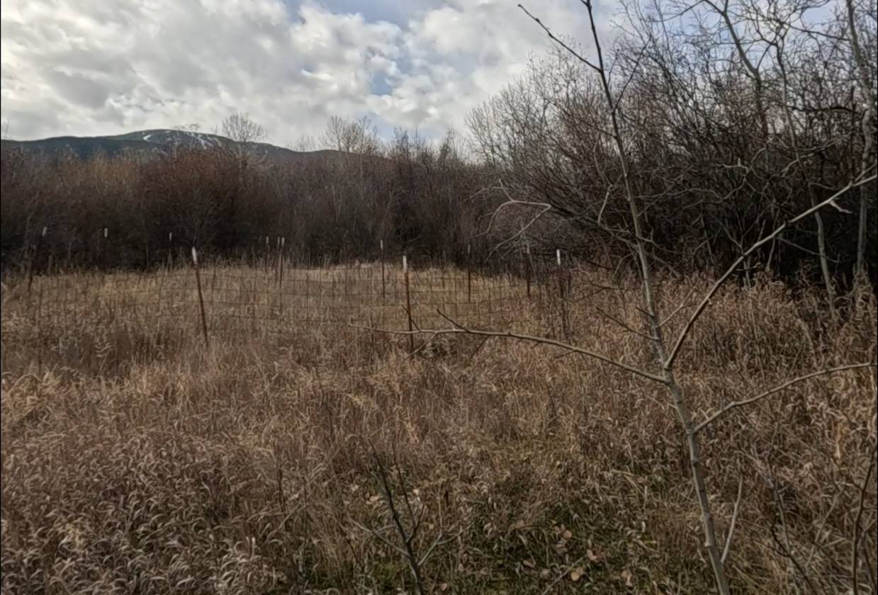 15.268 Acres! Creeks! Trails! Views! Meadows! - photo 17