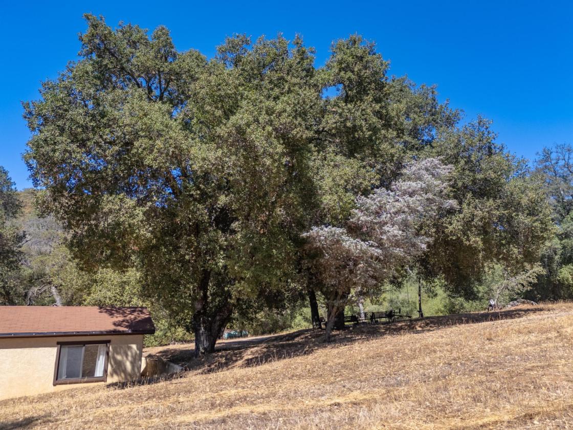Meadow Ranch - photo 13
