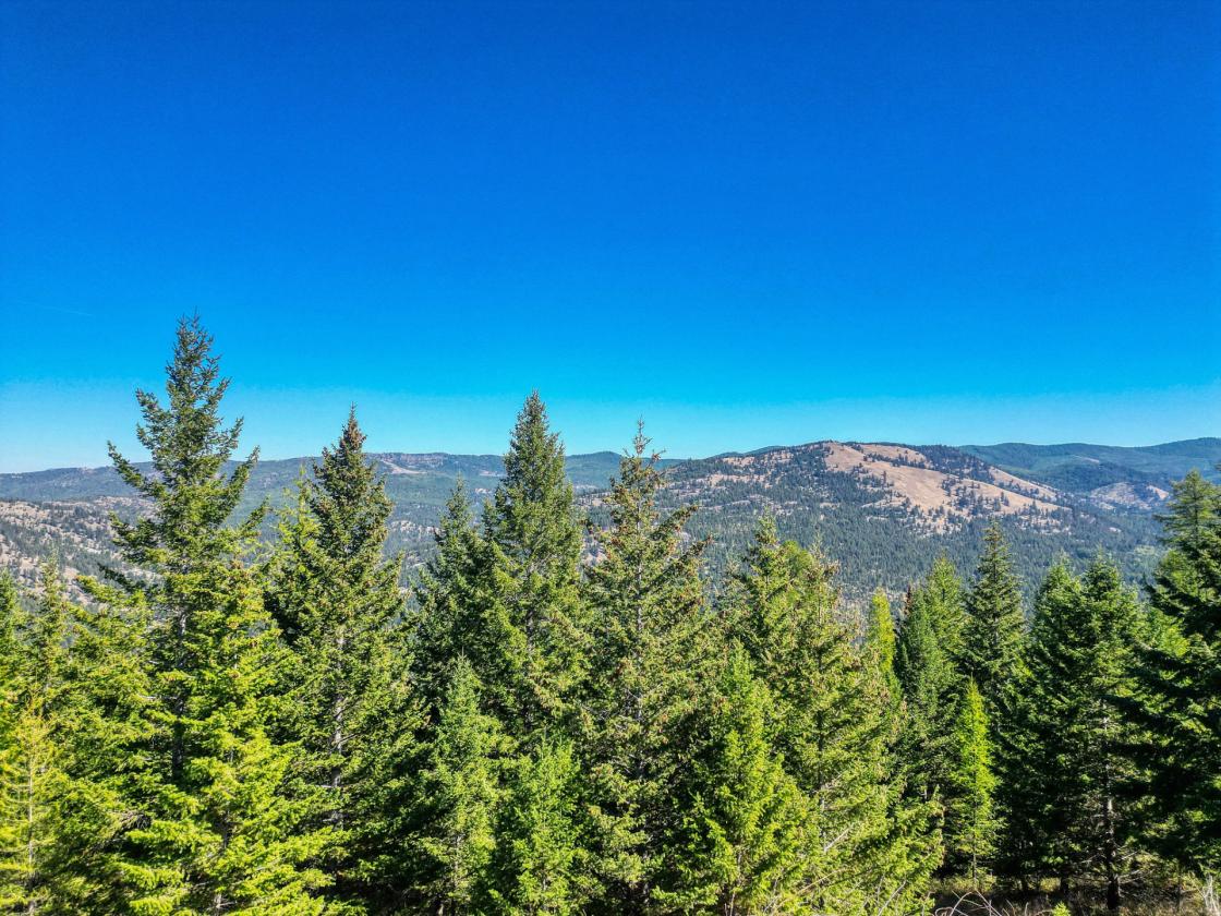350 Acres & Private Access to MT Forest Service - photo 17