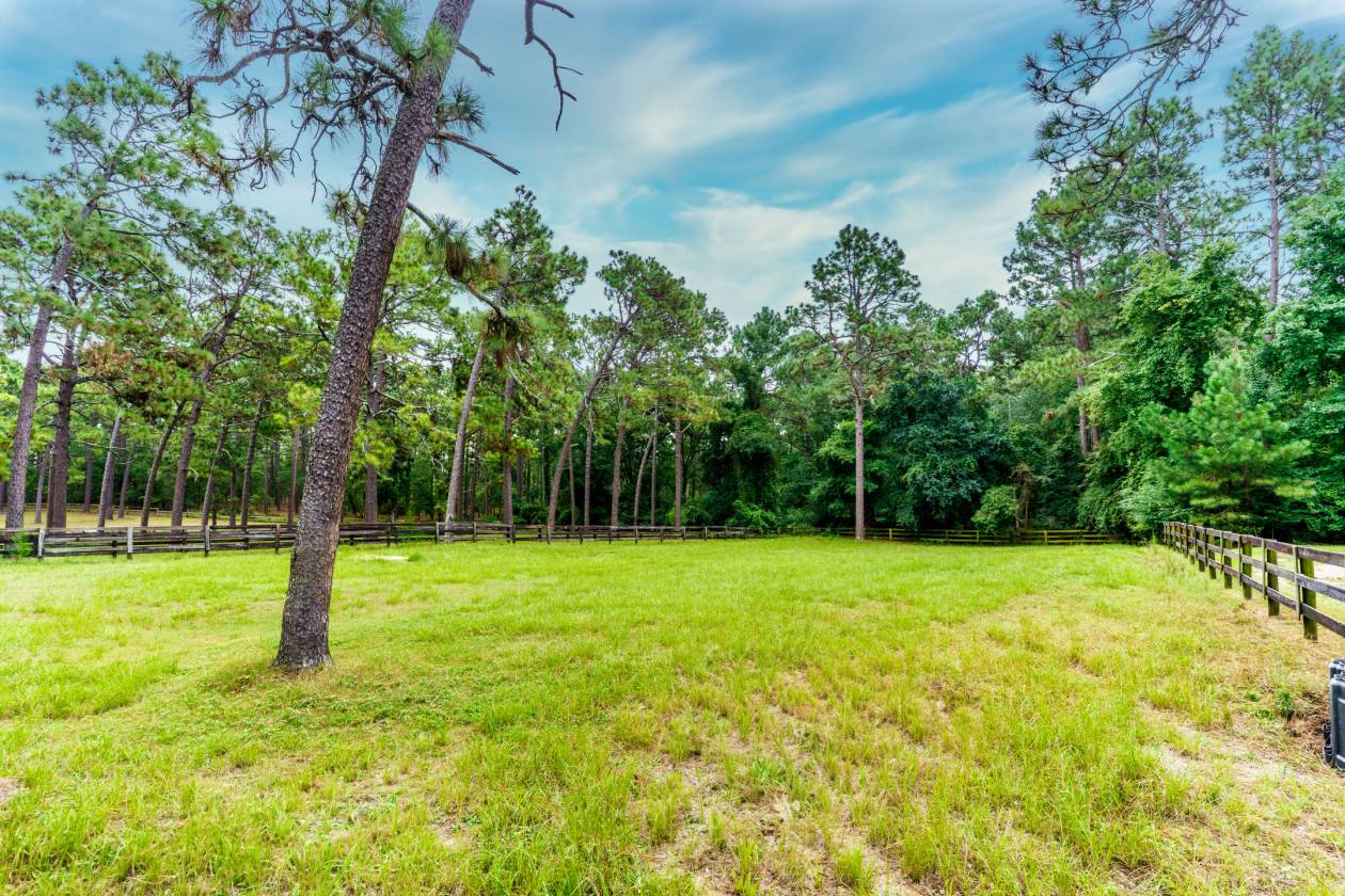 47+ Acres in the Heart of Horse Country - photo 6