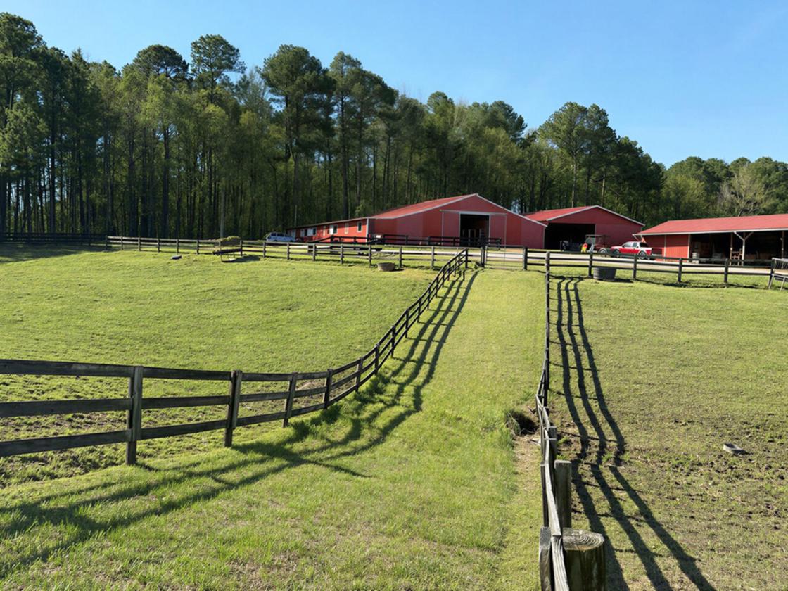 52 Acre Equestrian Estate - photo 23
