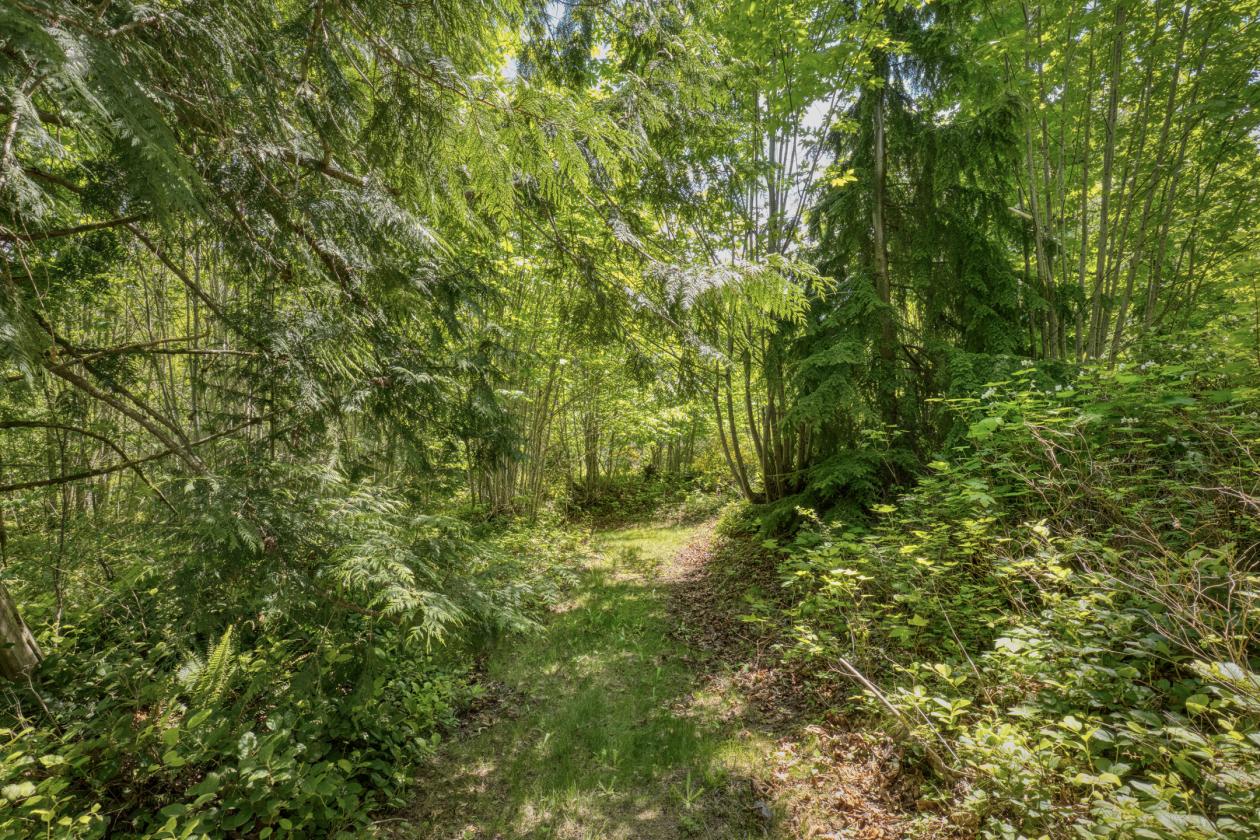 PNW Acreage with trails for Equestrians! - photo 22