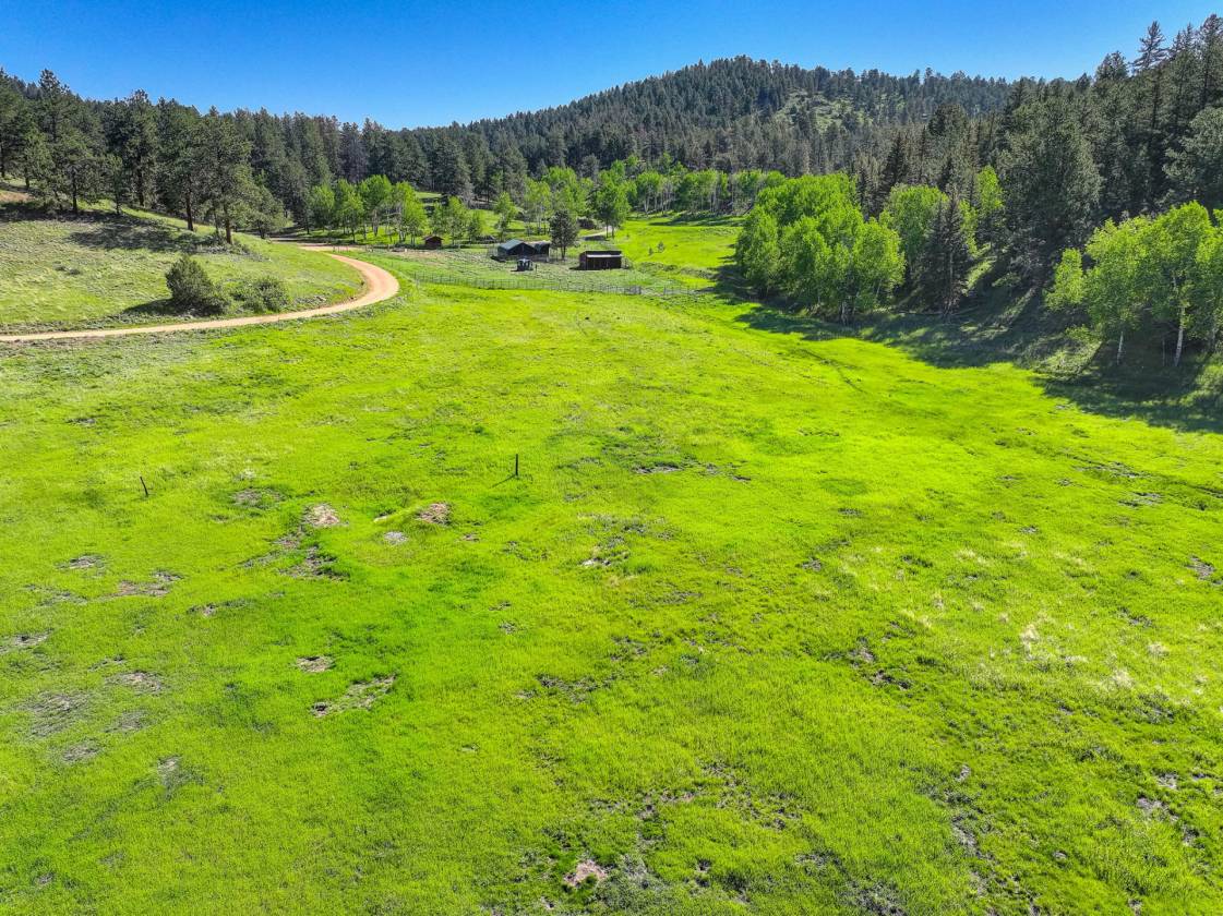 MAGICAL PINE & TINES RANCH - photo 31