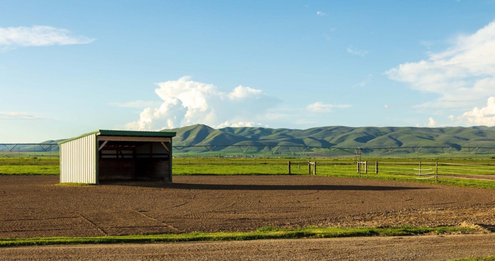 Knox Farm Equine Center - photo 9