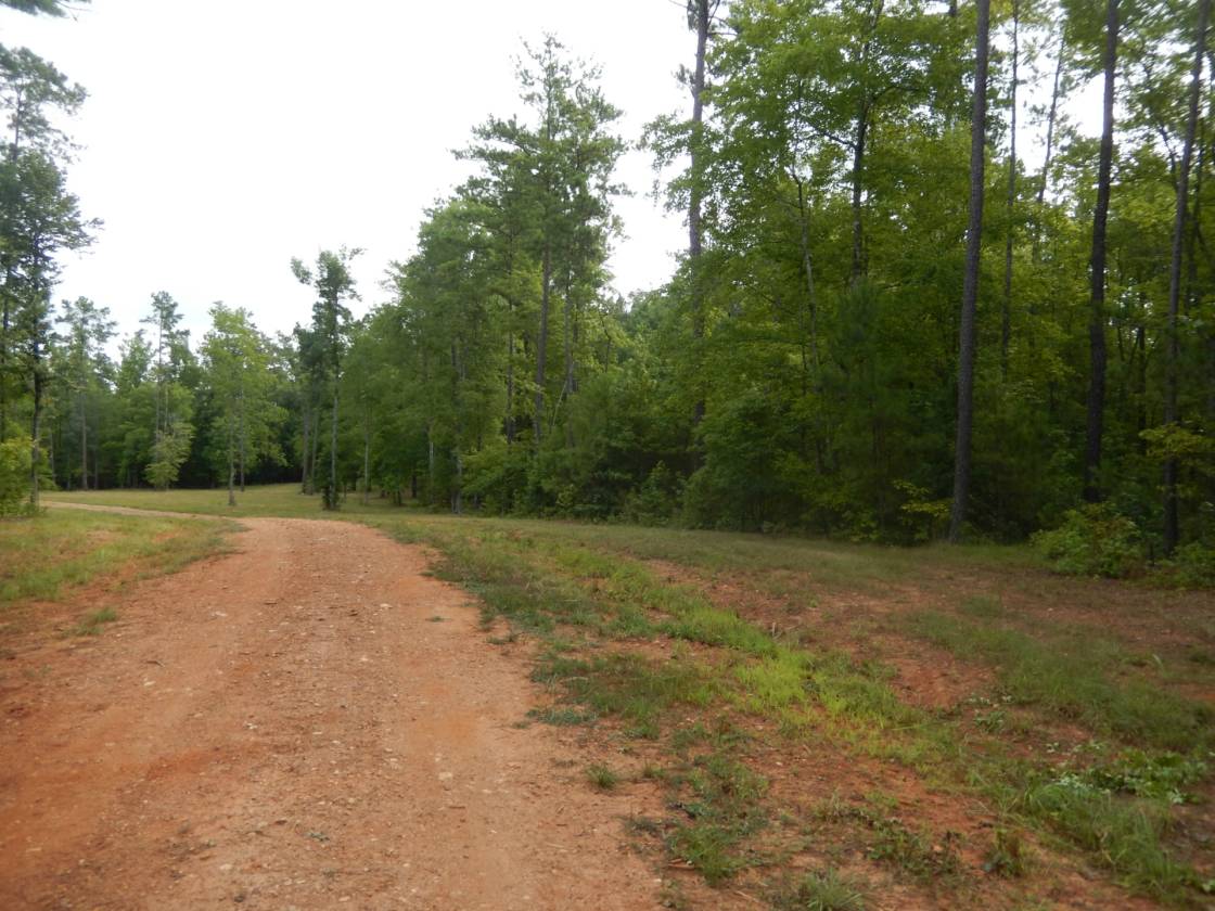 Blythewood Acreage! Blythewood, Richland County, South Carolina