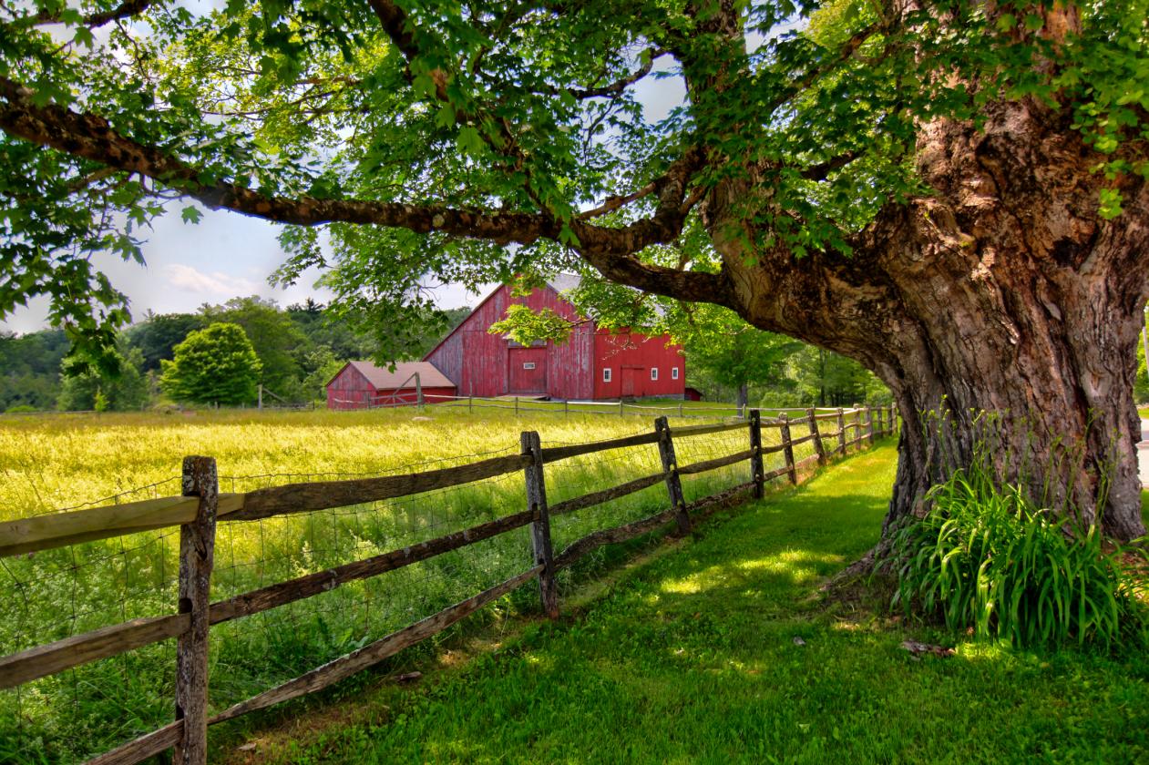 227 ACRES. 227 YEARS  EXQUISITE NEW ENGLAND FARM - photo 6