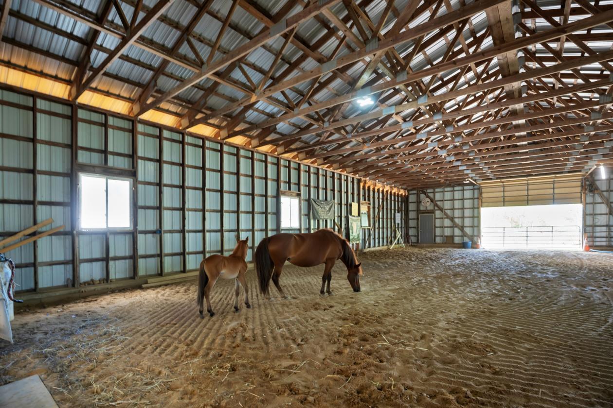 Upstate NY Equine Training & Breeding Facility - photo 4