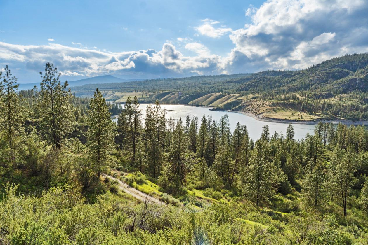20 acres overlooking the Spokane River! - photo 3