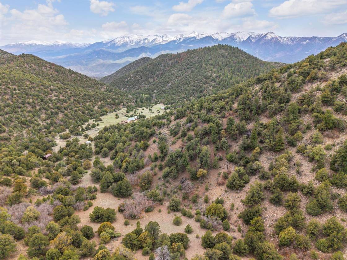Horse Property for sale.